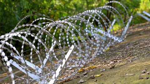 Gentle Pan Along Dense Concertina Wire Barrier in Green Setting Stock-Footage 344120619