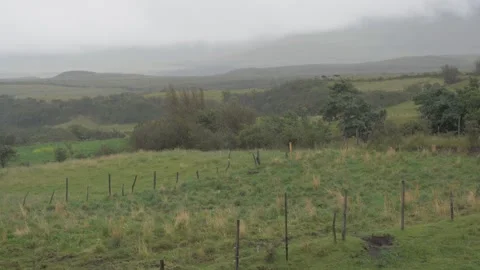 Gentle Pan Of Paddock In Rain. Equatorial Paramos, Ecuador, South America Stock Footage 276835175