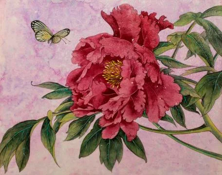 Gentle peony and butterfly Illustrazione stock