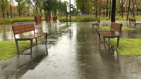 Gentle rain on the bench Stock Footage 228734836