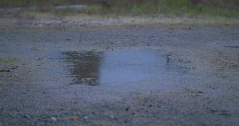 Gentle Rain Causing Ripples in a Puddle in a Gravel Driveway Stock Footage 104265489