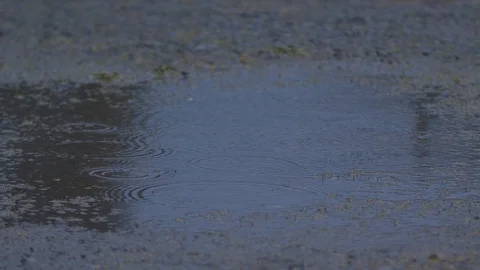 Gentle Rain Causing Ripples in a Puddle in Slow Motion Stock Footage 104265996