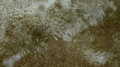 Gentle Rain Drops on Puddle Video stock 39386146