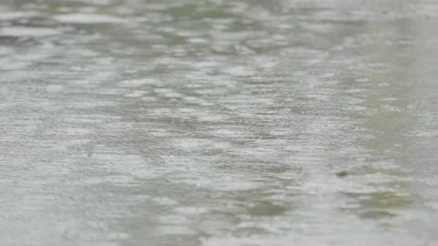 Gentle rain fall into puddles on the ground in Jamaica Stock Footage 340819484