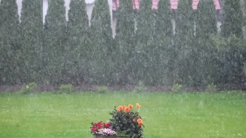 Gentle rain falling on a lush green garden with potted flowers Stock Footage 340447217