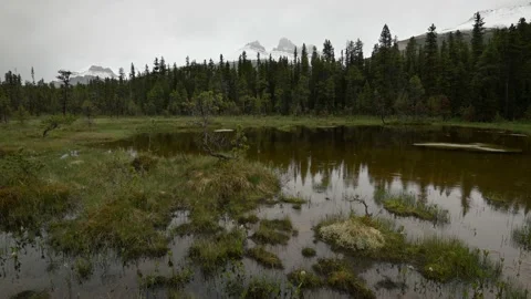 A gentle rainfall at a scenic mountain pond.   Stock Footage 134716481