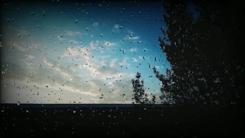 Gentle Rainfall Under a Cloudy Sky Vídeos de archivo 337786074