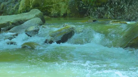 Gentle Rapids: Nature’s Flow Over Smooth Rocks in a Tranquil Stream Stock Footage 285039693