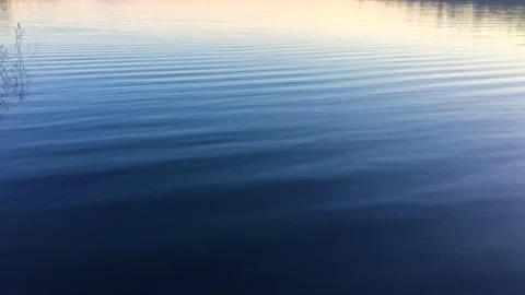 Gentle Ripples and Reflections on Calm Lake Water Stock Footage 334621841