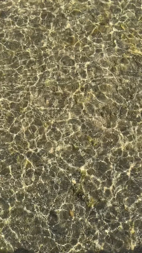Gentle ripples create a delicate pattern on the shallow water, offering a tra 動画素材 282801250
