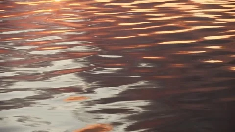 Gentle ripples on lake surface at sunset Stock Footage 315089910