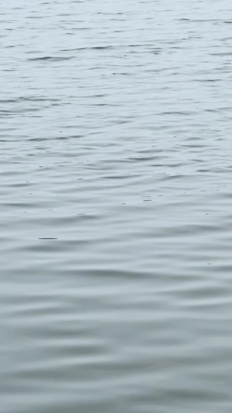 Gentle ripples on the surface of a calm lake with soft sunlight reflecting .. Stock-Footage 337788546