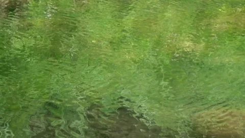 Gentle ripples on the surface of clear green river water Stock Footage 323044815