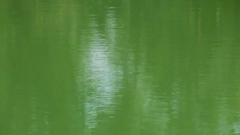 The gentle ripples on the surface of the lake during the day Stock Footage 321797914