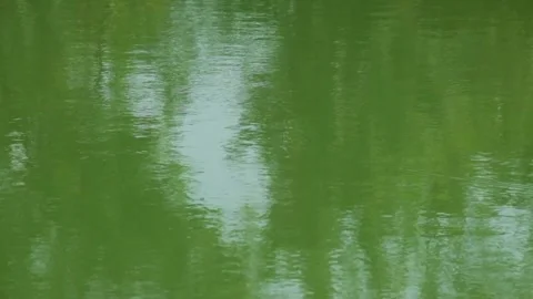 The gentle ripples on the surface of the lake during the day Stock Footage 321797915
