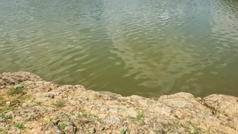 Gentle ripples of water surface on the edge of a lake Stock Footage 323148904