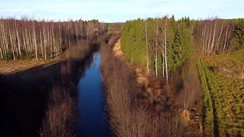 Gentle river and forest Video stock 321655893