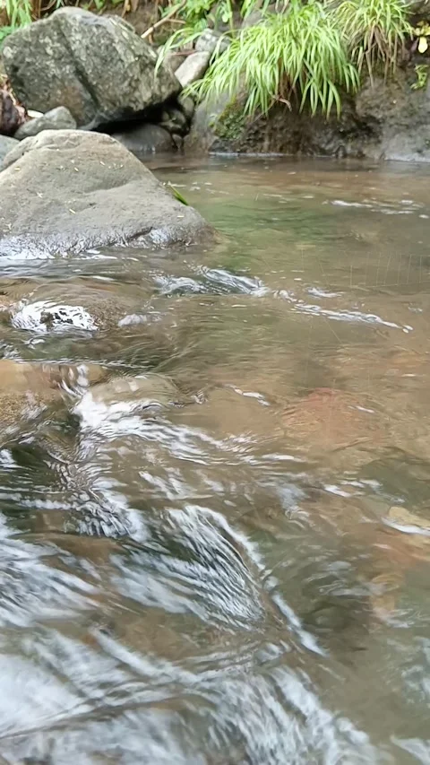 Gentle River Current Flowing Over Stones in Clear Natural Stream Stock Footage 329818625