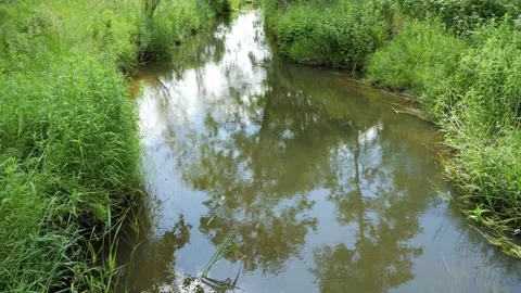 Gentle river current flowing through lush green landscape Stock-Footage 337728070