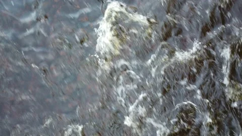 Gentle River Current in Shallow Water With Stones and White Water Stock Footage 167141478