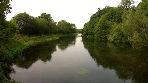 Gentle River on a Dull Day Stock Footage 11858013