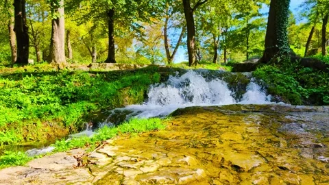 Gentle River Flow 库存影片 296615991