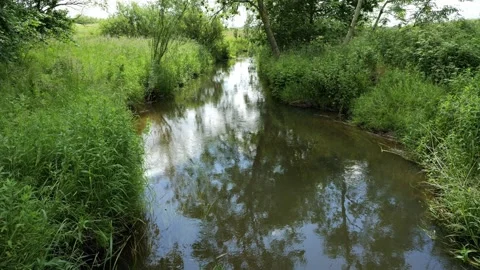 Gentle river flowing through lush green landscape Stock-Footage 337728118