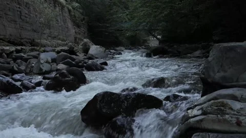 Gentle river flowing through rocky landscape in serene forest during evening Vidéo 288761684