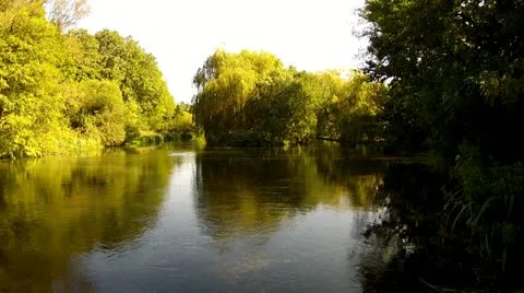 Gentle River Scene from Bridge with Distant Willow Tree Stock Footage 12143509