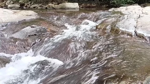 Gentle River Stream Flowing over Mossy Rocks in Forest - Full HD Nature Video stock 329086046