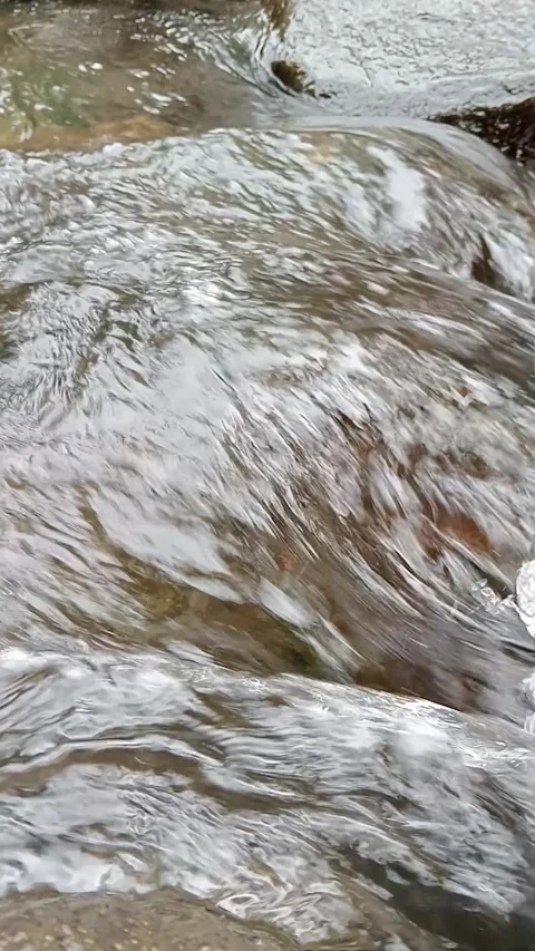 Gentle River Stream Flowing Through Natural Forest Landscape Stock Footage 329818504