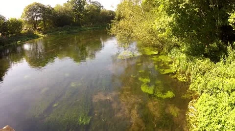 Gentle River in Summer Stock Footage 12142297