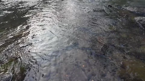 Gentle River Water Ripples Over Natural Stream Bed 4K Stock Footage 337060643