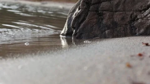 Gentle river waves along a beach Stock Footage 133378575