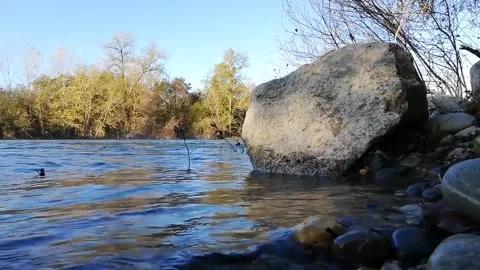 Gentle River Waves Washing Along the Shore in a Peaceful Natural Landscape Vídeos de archivo 337785919