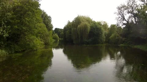 Gentle River &amp; Willow Tree Stock Footage 11858203