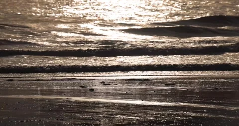 Gentle rolling waves on a beach at sunset 库存影片 251501549
