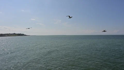Gentle rolling waves of the coast of Whitstable, Kent on a sunny day Stock Footage 276331273