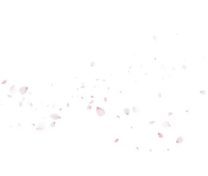 Gentle Sakura Petal Wave Vector Background For Spring Designs Stock Illustration