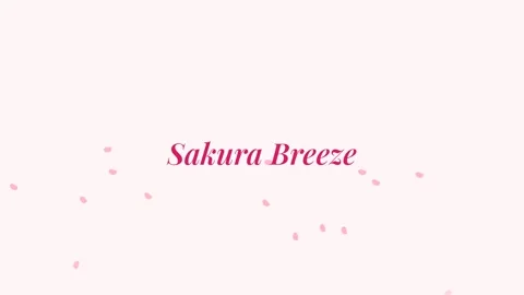Gentle Sakura Petals Falling in Slow Motion on White Background Stock Footage 337502650