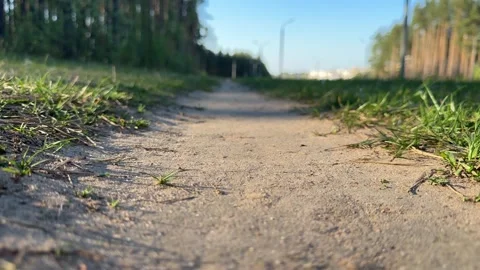 A gentle sandy path with green grass and a blurred forest background Stock Footage 334068496