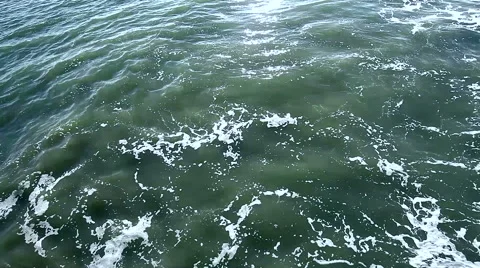 Gentle Sea Video stock 54760357