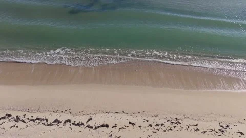 Gentle Sea Waves Rolling onto Sandy Beach | Relaxing Drone View Stock Footage 325720158