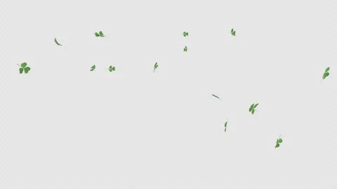 Gentle Shamrock Leaves Falling Alpha Stock Footage 315210980
