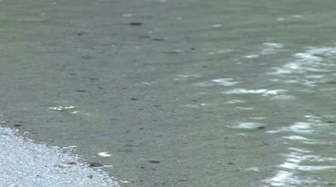 Gentle shore ripples Stock Footage 10176691