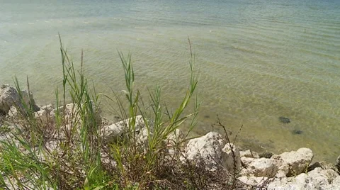Gentle Shoreline Video stock 8798520