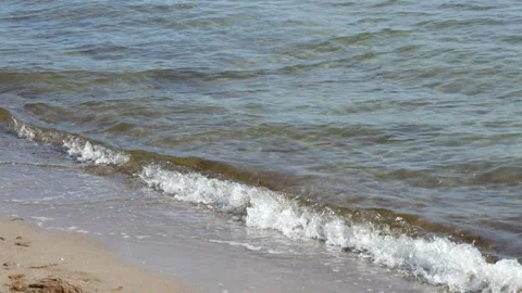 Gentle Small Waves Reaching a Sandy Beach Vidéo 341081722