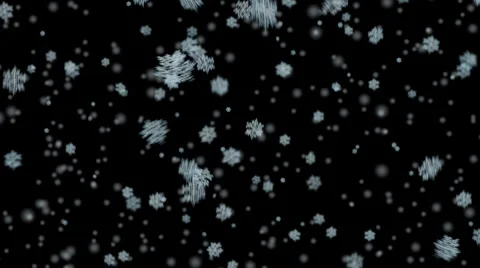 Gentle Snow Falling Stock Footage