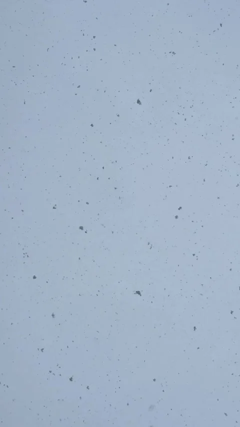 Gentle Snowfall During December in Stunning 4K Resolution Stock Footage 329242221