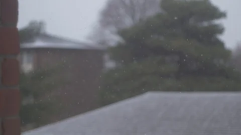 Gentle snowfall in front of brick buildings and trees 120fps slow motion Stock Footage